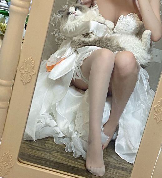 西行纪第六季免费观看_1080P免费全集观看